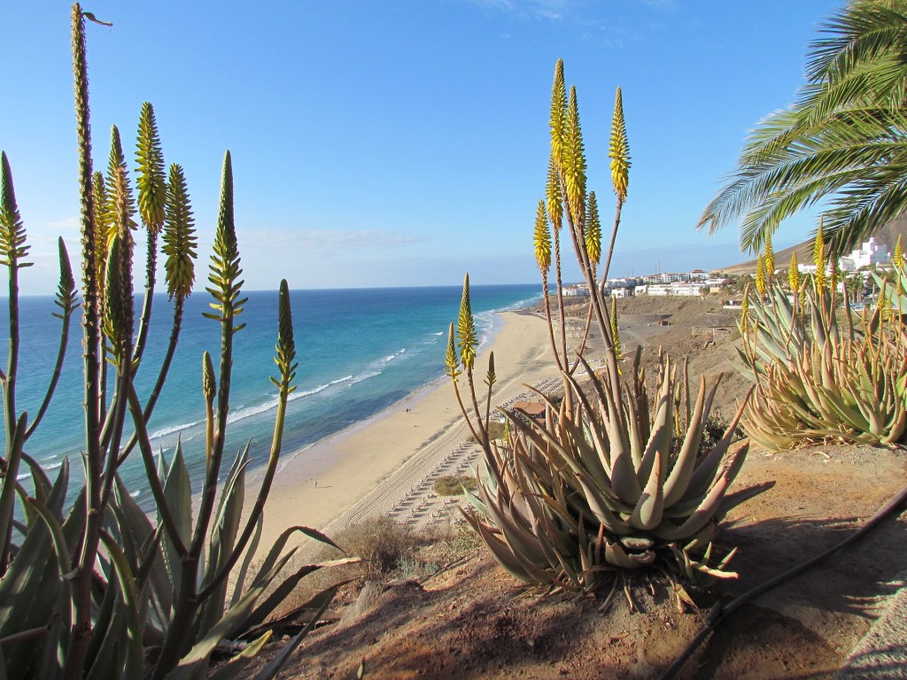 1 Woche Fuerteventura Im Gehobenen 4 Hotel Inkl Flug Fur 345 Reisetiger