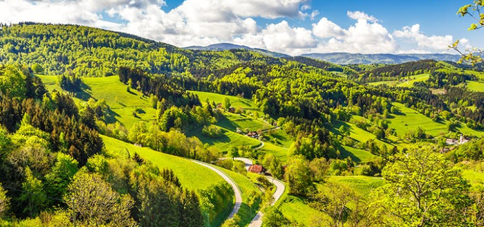 schwarzwald panoramablick